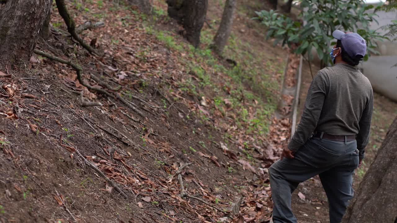 Latin man walking in forest