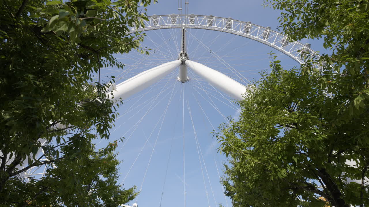 London Eye with Trees