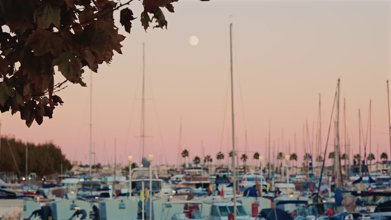Branch of autumn leaves in the foreground frames a marina full of boats and masts at sunset, with the moon rising in a pastel sky