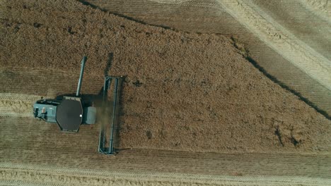 vista superior de drones aéreos de una cosechadora negra cosechando colza