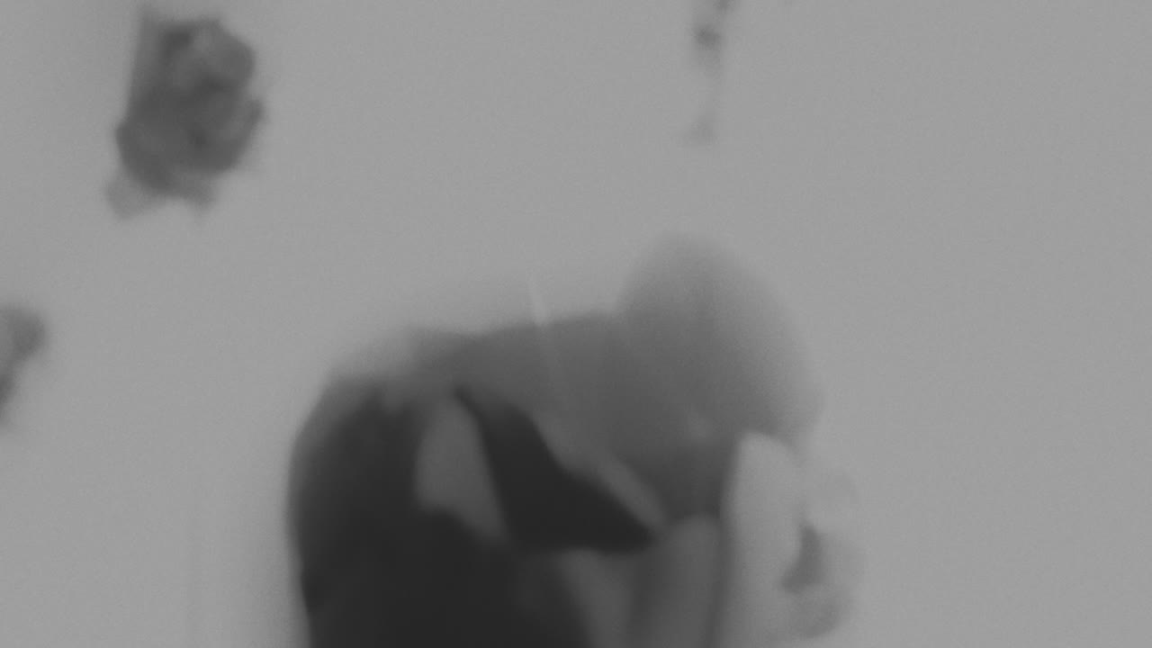 Broken mannequin head shells in xray