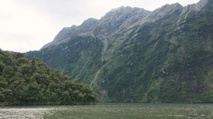 Towering green cliffs of Milford Sound rise over tranquil waters