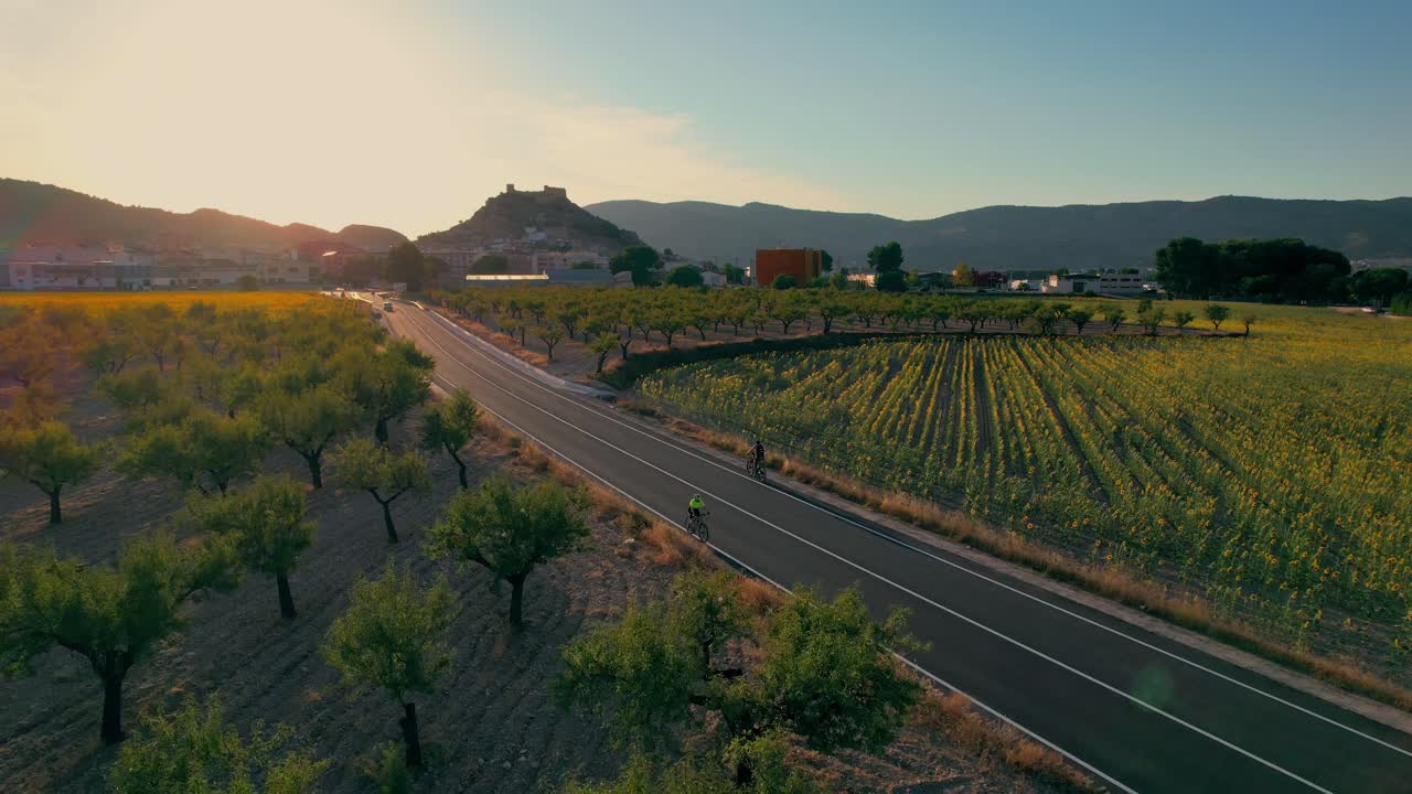 Ciclista tra campi di girasoli al tramonto con montagne e un castello