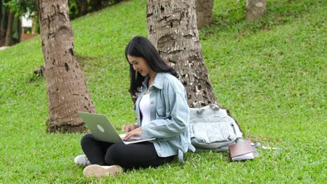 woman working on laptop in a park