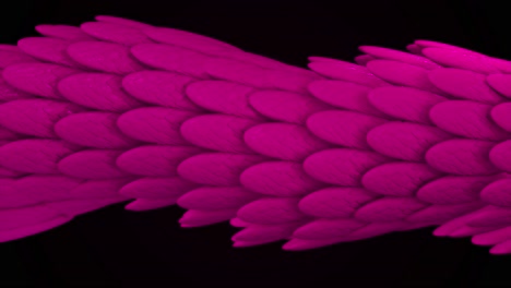 pink dragon scales texture