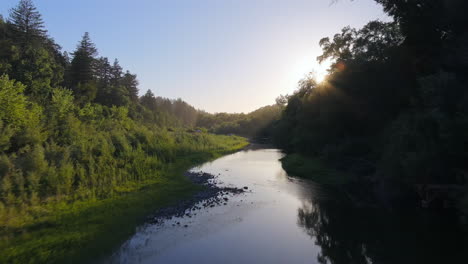 flying over russian river in del rio woods regional park on a sunny morning in healdsburg, california, usa