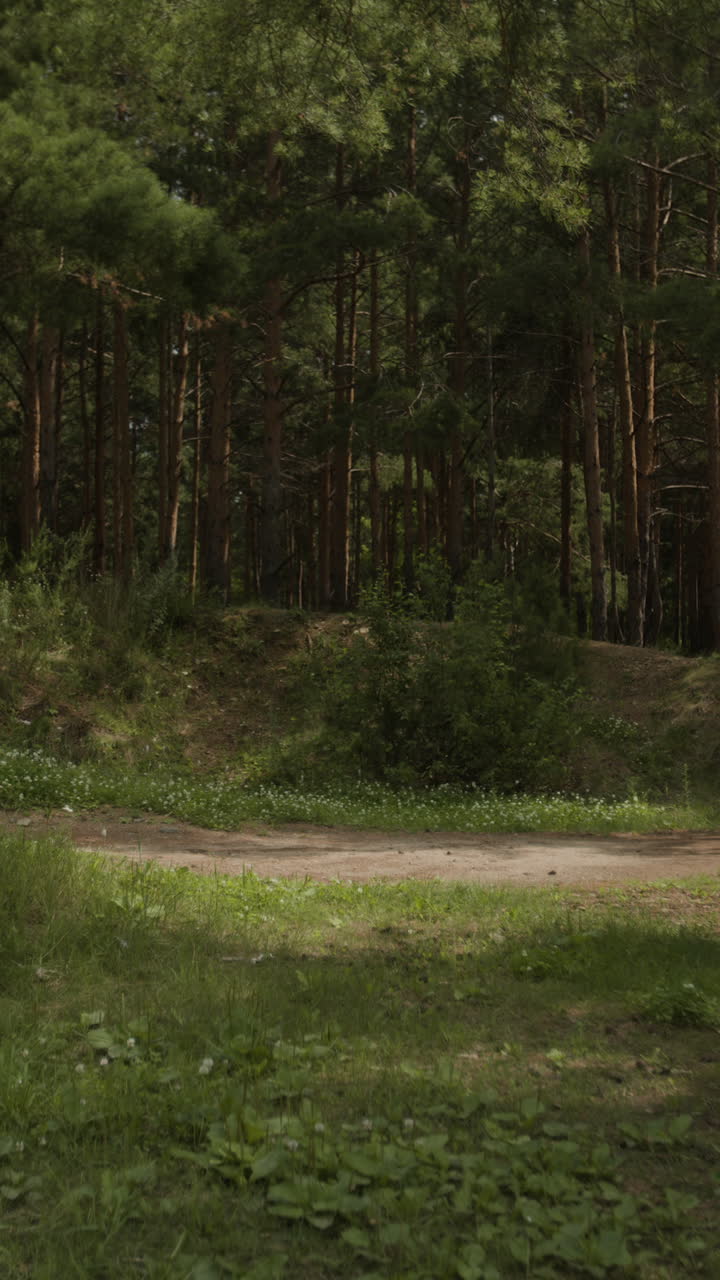 숲에서 산책하는 사람들