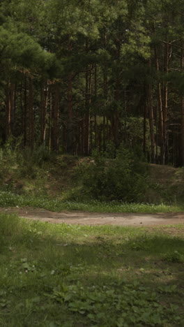 people hiking in the forest