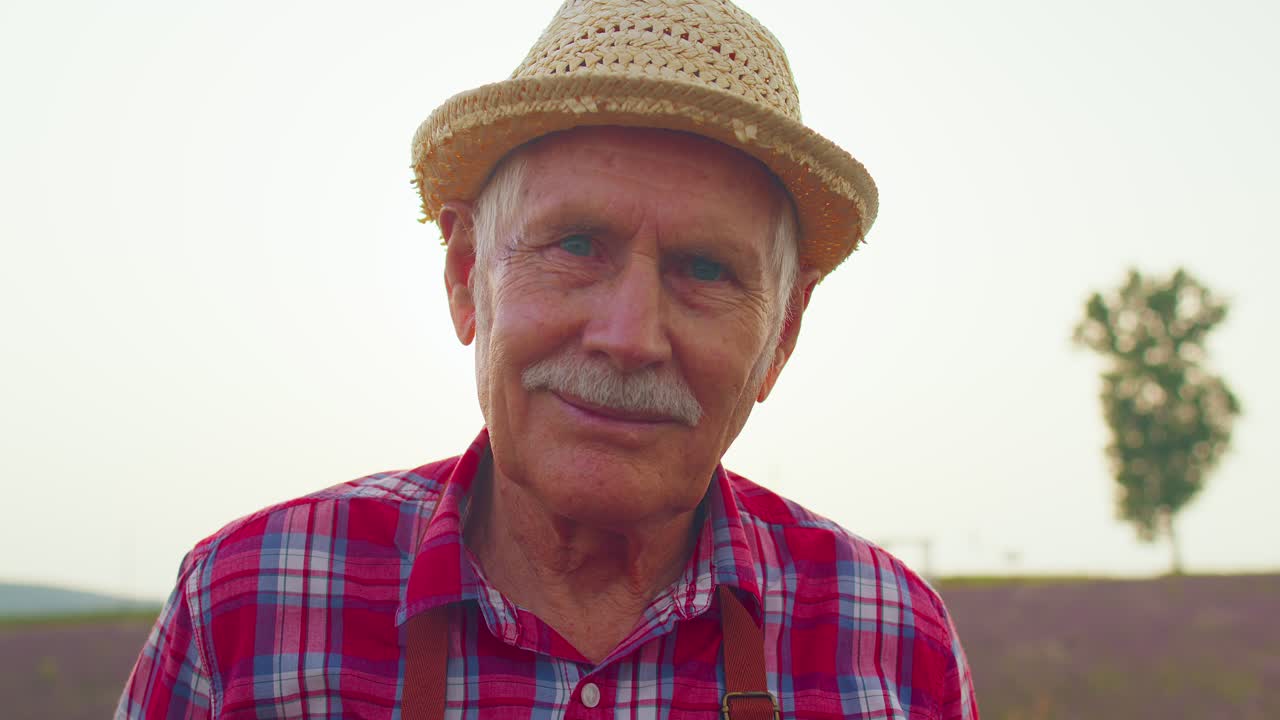 retrato de un granjero, un trabajador, un abuelo, un hombre en un campo orgánico que cultiva flores de lavanda púrpura