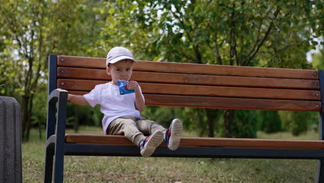 outdoor playing in park small boy. cheerful little kid having fun.
