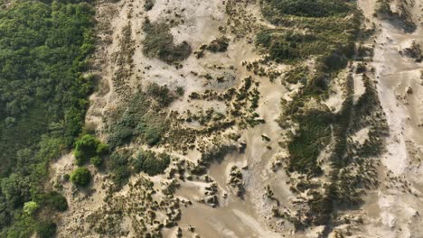 High-view-of-an-overgrown-dune-near-the-beach-at-Rockanje