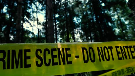 colorful and vibrant crime scene - do not enter yellow tape moving in the wind at a dark forest close up. sun is shining behind the tape and in between dark and large trees, bokeh background.