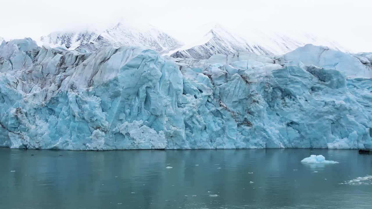 gaviota glauco volando frente a un glaciar