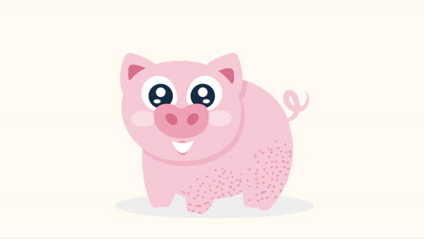 cute pork farm animal animation