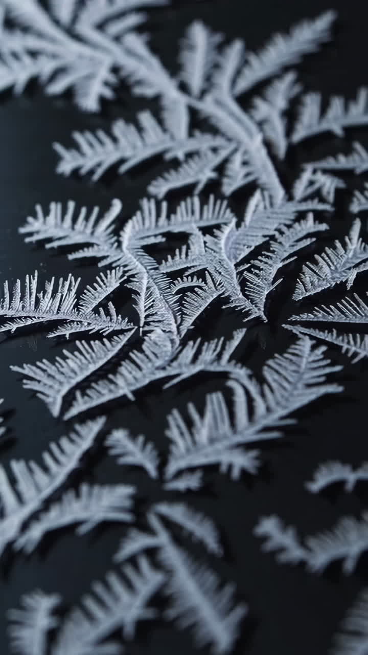 Beautiful Frost Patterns on a Surface