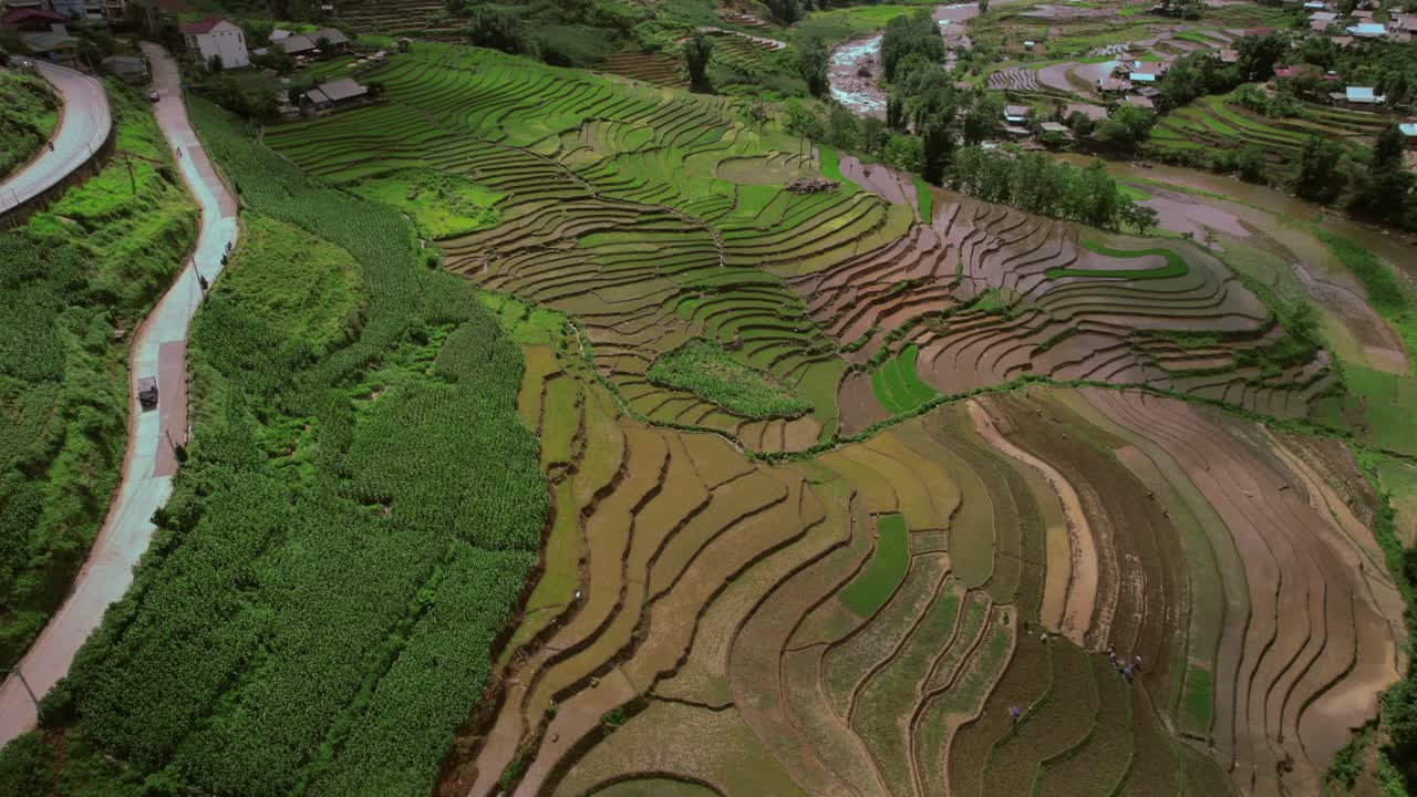 vista aérea hacia adelante de las terrazas de cultivo de arroz. luz del día