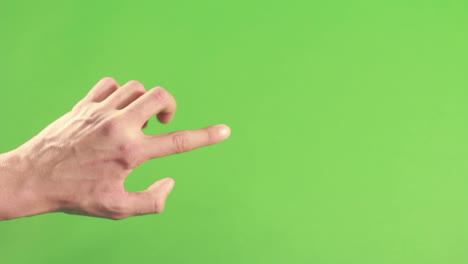 person hand isolated on green background screen. left hand on chroma key