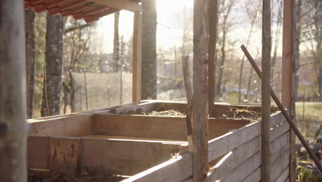 BACKLIT-steaming-compost-bays-in-a-rustic-wooden-compost-house,-cold-day