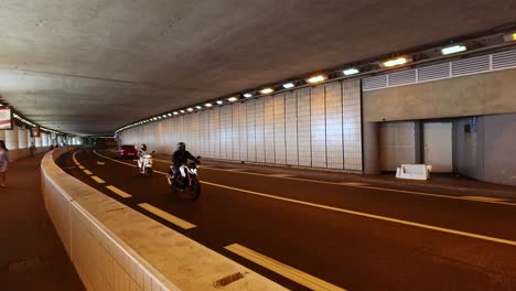 vehicles and pedestrians in monte carlo tunnel