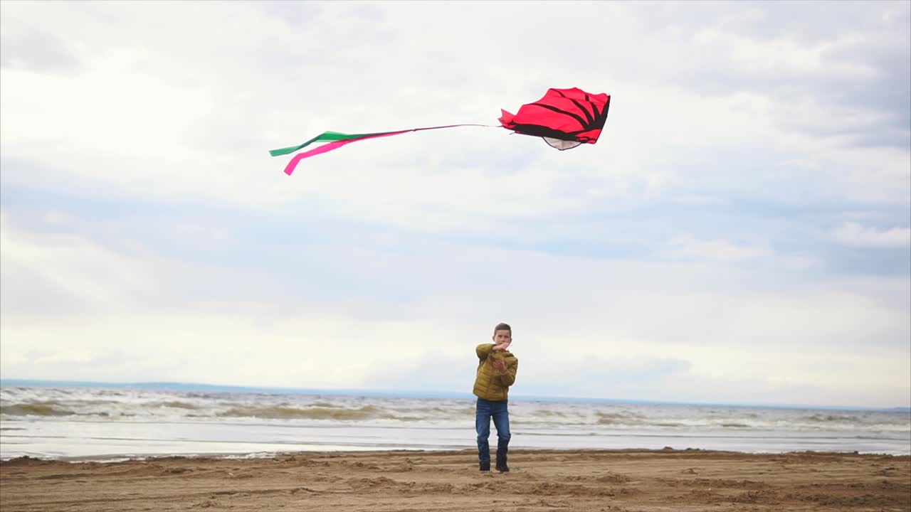 Boy Flying a Kite on the Beach