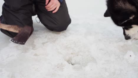 un hombre, acompañado de su perro, está haciendo un agujero en el lago congelado para pescar en el hielo en bessaker, condado de trondelag, noruega - de cerca