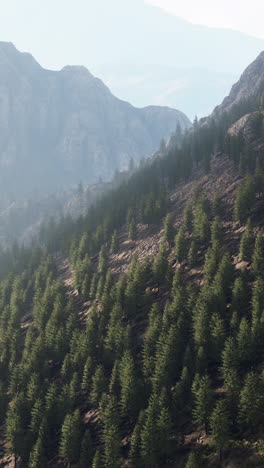 una hermosa vista de una cordillera con un bosque en primer plano