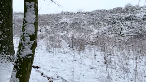 Stetiger-Schwenk-Einer-Winterlandschaft-Und-Zwei-Mädchen,-Die-Im-Dezember-Auf-Einem-Verschneiten-Waldweg-Spazieren