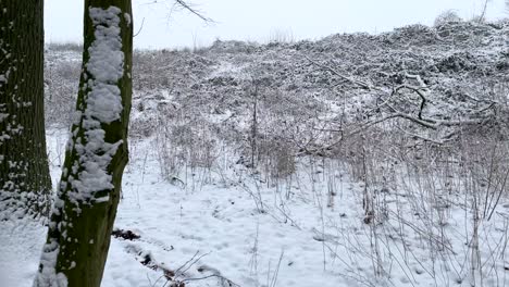 Steady-panning-shot-of-winter-landscape-and-two-girls-walking-on-snowy-forest-path-in-december