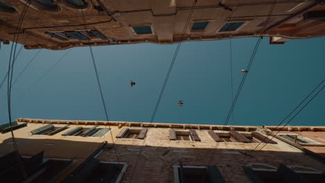 venice alleyway perspective with birds