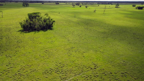 Colombia-Eastern-Plains---Llanos-Orientales-14