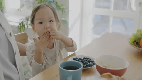 Baby Eating Blueberries for Breakfast