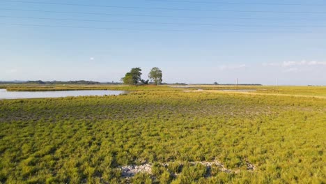 Low-aerial-drone-shot-flying-fast-above-vast-marshland-wet-landscape,-Sylhet