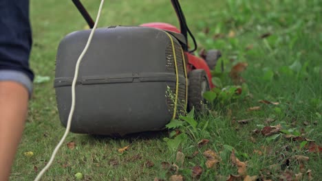 gardening with lawn mower. close up details of landscaping and gardening