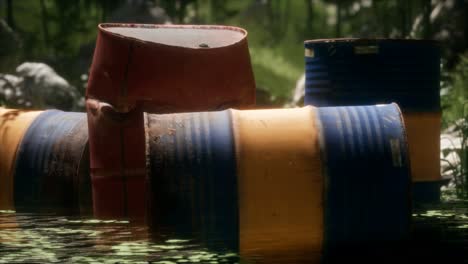 rusty barrels in green forest