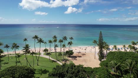 palm trees at waikiki oahu