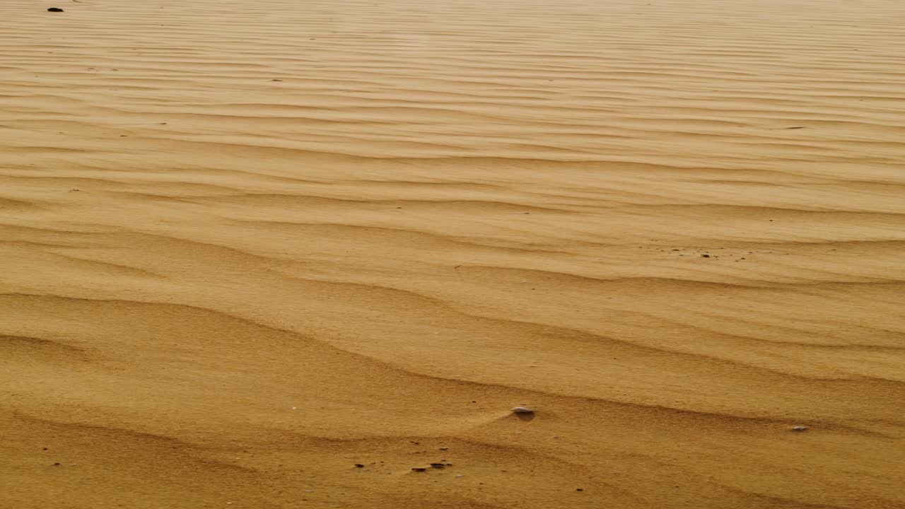 사막의 모래 파도