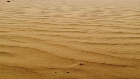 desert sand waves