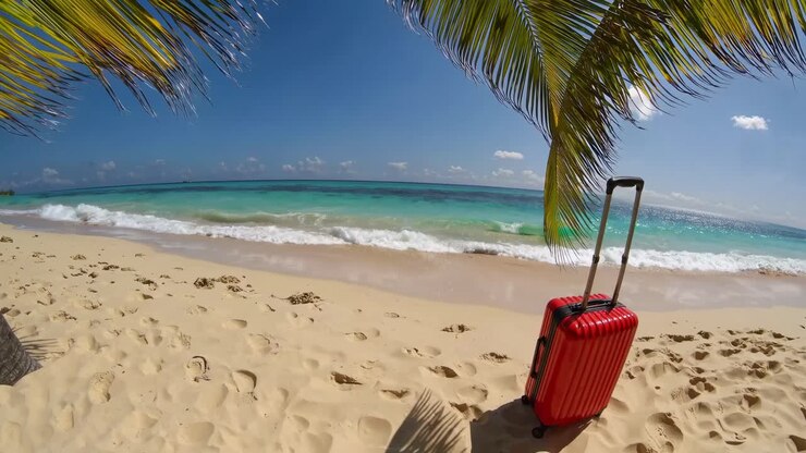 Wide-angle video shot of a red suitcase on a tropical beach, under palm leaves, capturing the serene