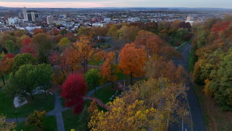 slow cinematic aerial orbit of colorful trees in city park