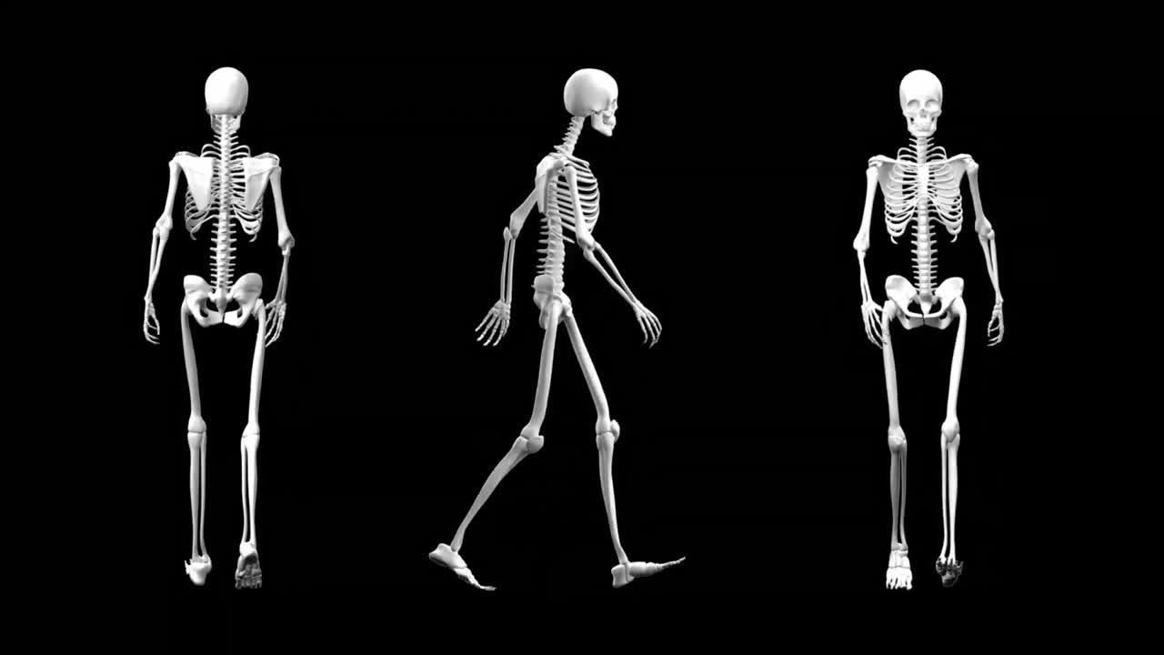 vista diferente de un esqueleto que camina