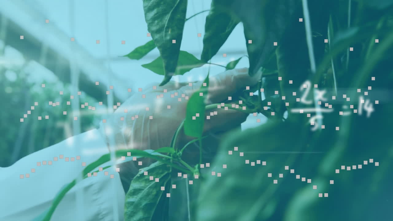 온실 실험실에서 일하는 과학자에 맞서 움직이는 수학 방정식