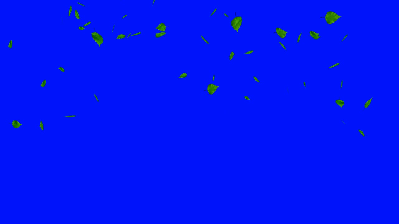 la explosión de hojas verdes aisladas en azul.