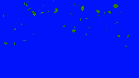 la explosión de hojas verdes aisladas en azul.
