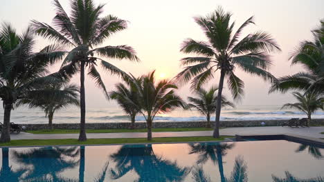 pan of palm trees lining the edge of a resort swimming pool at sunset