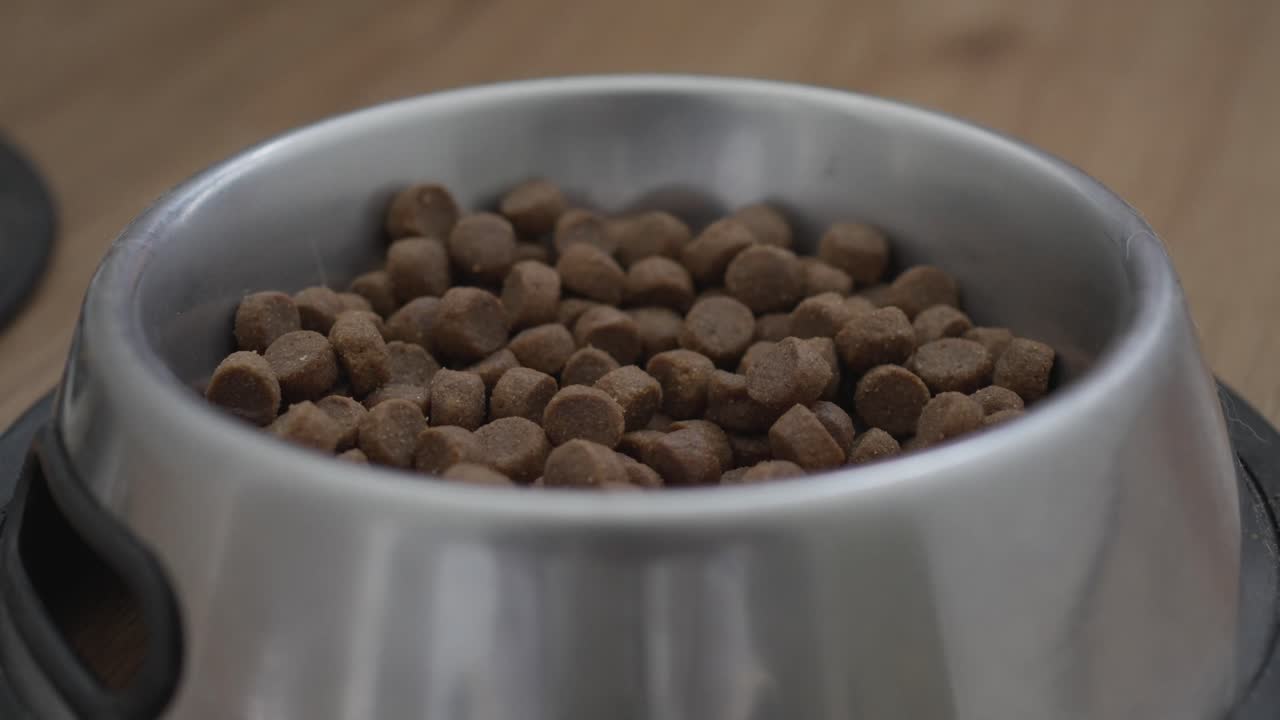 Nahaufnahme eines Keramiknapfes gefüllt mit trockenem Hundefutter auf dem Boden zu Hause, Szene einer Haustierfütterung.