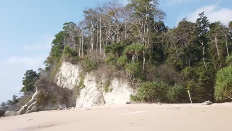 una cala natural bordeada por árboles centenarios y acantilados blancos y una playa desierta