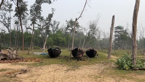 cinematic shot of three old fishing boats kept in between a forest in bengal, india