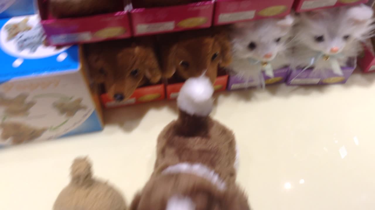 ぬいぐるみのおもちゃ。ぜんまい仕掛けのおもちゃ。店のショーウィンドウ。