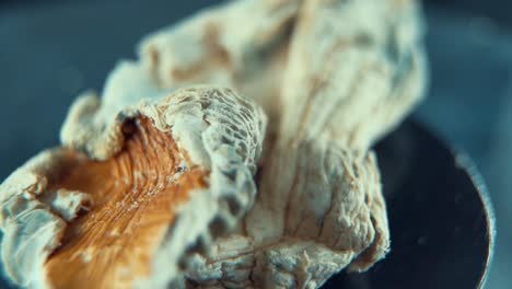 a macro close up rotating shot of a magical psychoactive psilocybin hallucination dried mushroom with a red bown cap, studio lighting, slow motion 120 fps, full hd