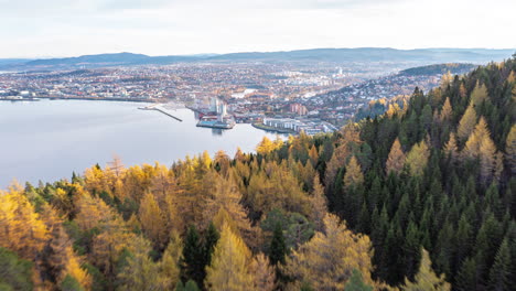 Aerial-hyperlapse-revealing-a-city-froma-colorful-forest